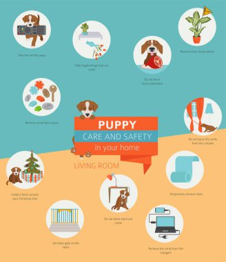 Köpek bakım ve güvenlik içinde senin ev. Oturma odası. Evde beslenen hayvan köpek Infographic tasarım eğitim. Vektör çizim