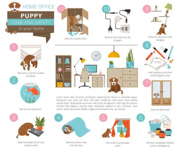 Köpek bakım ve güvenlik içinde senin ev. Ev ofis. Evde beslenen hayvan köpek Infographic tasarım eğitim. Vektör çizim