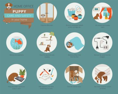 Köpek bakım ve güvenlik içinde senin ev. Ev ofis. Evde beslenen hayvan köpek Infographic tasarım eğitim. Vektör çizim