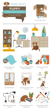 Köpek bakım ve güvenlik içinde senin ev. Ev ofis. Evde beslenen hayvan köpek Infographic tasarım eğitim. Vektör çizim