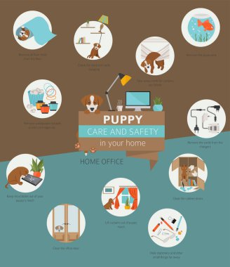 Köpek bakım ve güvenlik içinde senin ev. Ev ofis. Evde beslenen hayvan köpek Infographic tasarım eğitim. Vektör çizim