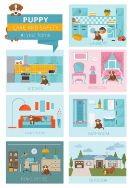 Köpek bakım ve güvenlik içinde senin ev. Evde beslenen hayvan köpek Infographic tasarım eğitim. Vektör çizim