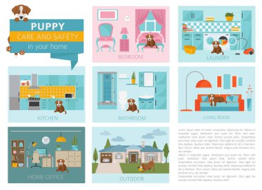 Köpek bakım ve güvenlik içinde senin ev. Evde beslenen hayvan köpek Infographic tasarım eğitim. Vektör çizim