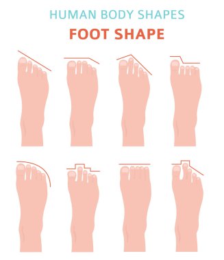 Human body shapes.Feet types icon set. Vector illustration clipart