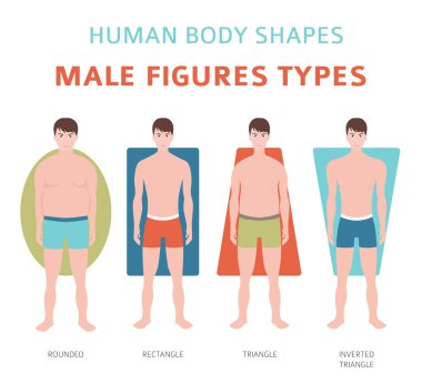 İnsan vücut şekilleri. Erkek rakamlar türleri ayarlayın. Vektör çizim