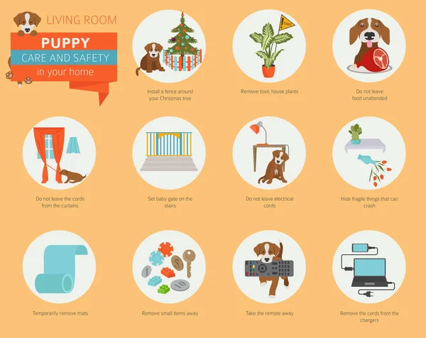 子犬ケアとあなたの家の安全性 リビング ルーム ペット犬のインフォ グラフィック デザインのトレーニングします ベクトル図 — ストックベクタ