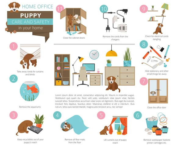 Puppy Verzorging Veiligheid Huis Kantoor Aan Huis Huisdier Hond Opleiding — Stockvector