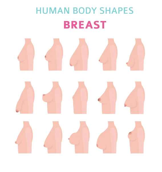 Human Body Shapes Woman Breast Form Set Vector Illustration — Stock Vector