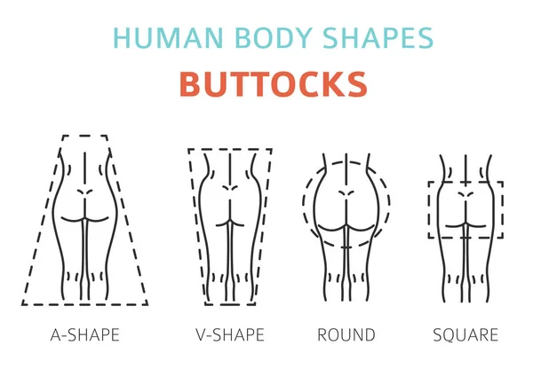 Human Body Shapes Woman Buttocks Types Set Vector Illustration — Stock Vector