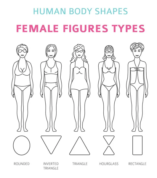 Formas Del Cuerpo Humano Figuras Femeninas Tipos Conjunto Diseño Línea — Vector de stock
