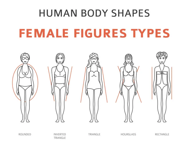 Formas Del Cuerpo Humano Figuras Femeninas Tipos Conjunto Diseño Línea — Vector de stock