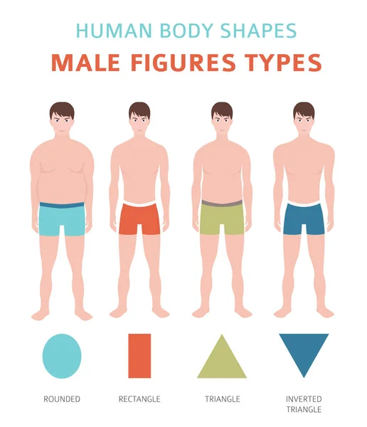 人体形状 男性数字类型设置 矢量插图 — 图库矢量图片