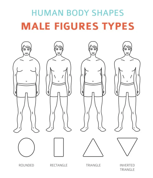 Formas Del Cuerpo Humano Figuras Masculinas Tipo Conjunto Ilustración Vectorial — Vector de stock