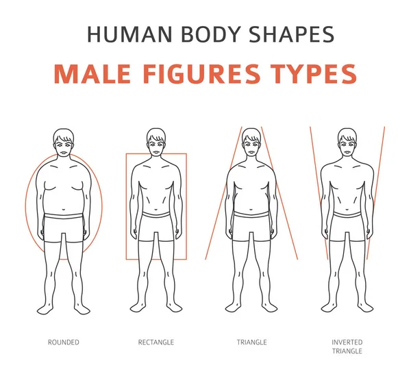 Human Body Shapes Woman Breast Form Set Vector Illustration Stock Vector by  ©A7880S 209180936