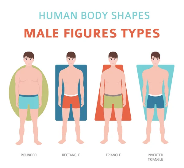 Tvary Lidské Tělo Mužské Postavy Typy Nastavení Vektorové Ilustrace — Stockový vektor