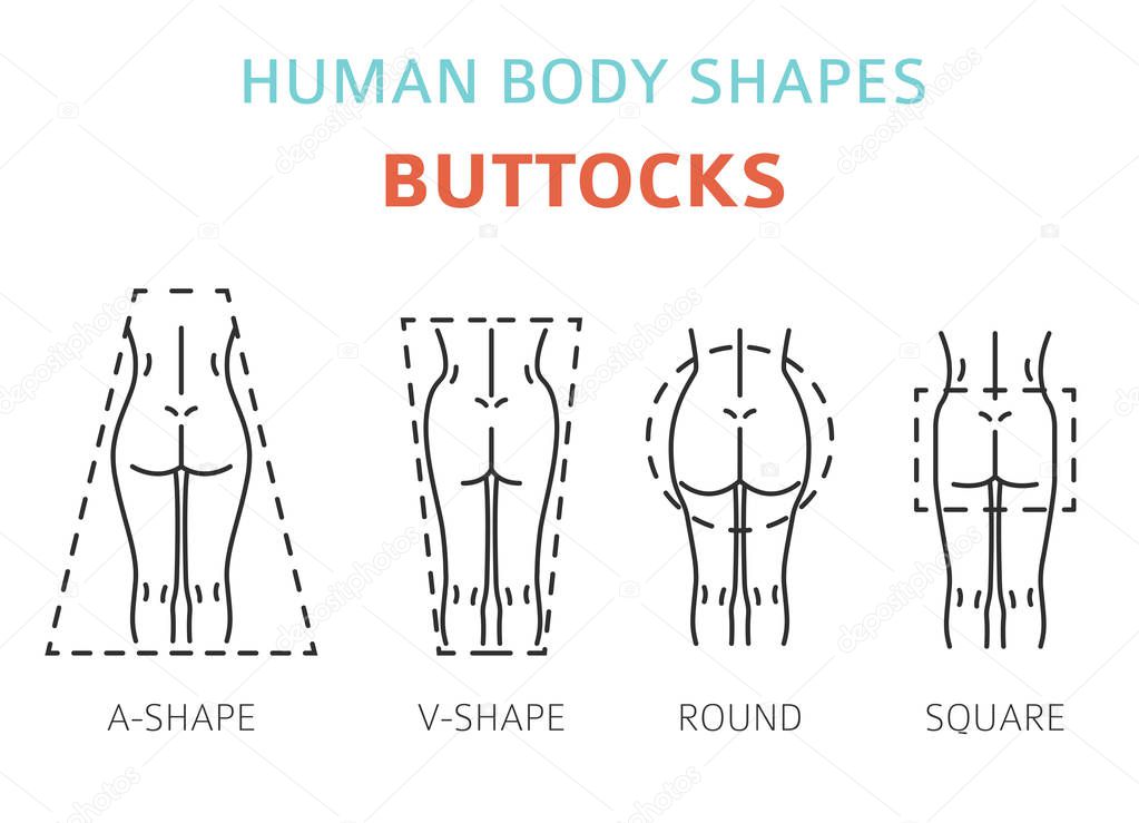 Human body shapes. Woman buttocks types set. Vector illustration