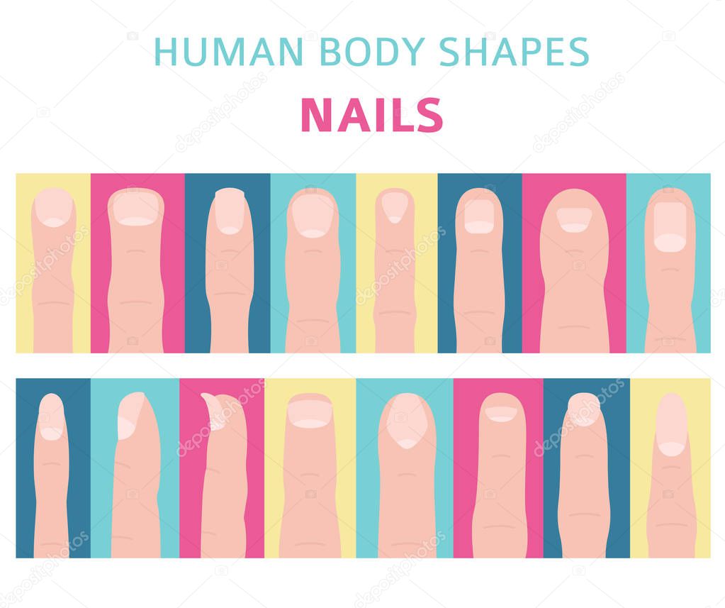 Human body shapes. Hand finger nail types set. Vector illustration