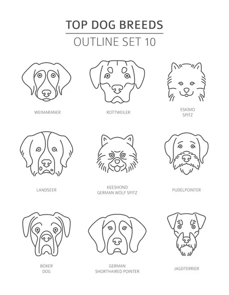 Top Dog Breeds Pet Outline Collection Vector Illustration — Stock Vector