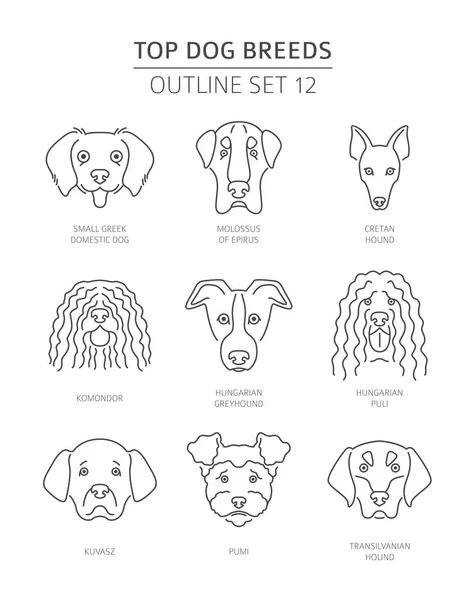 Mejores Razas Perros Colección Bosquejos Para Mascotas Ilustración Vectorial — Vector de stock