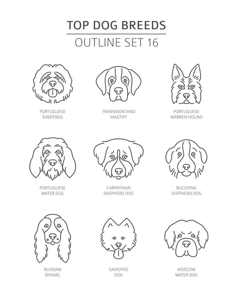 Mejores Razas Perros Colección Bosquejos Para Mascotas Ilustración Vectorial — Vector de stock