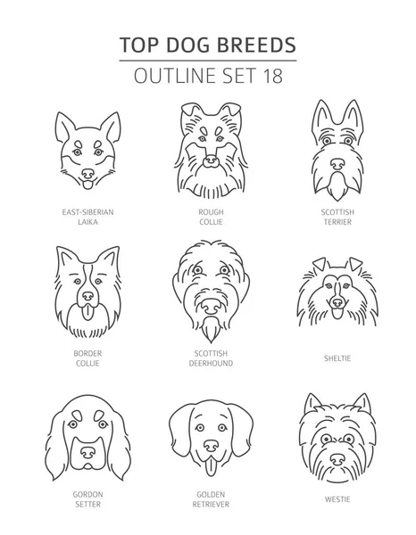 Top Dog Breeds Pet Outline Collection Vector Illustration — Stock Vector