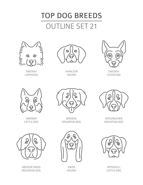 Mejores Razas Perros Colección Bosquejos Para Mascotas Ilustración Vectorial — Vector de stock