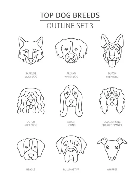 Les Meilleurs Chiens Reproduisent Collection Contours Pour Animaux Illustration Vectorielle — Image vectorielle