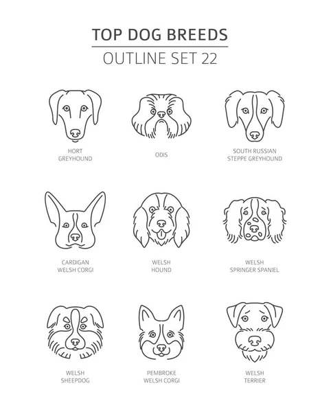 Top Dog Breeds Pet Outline Collection Vector Illustration — Stock Vector