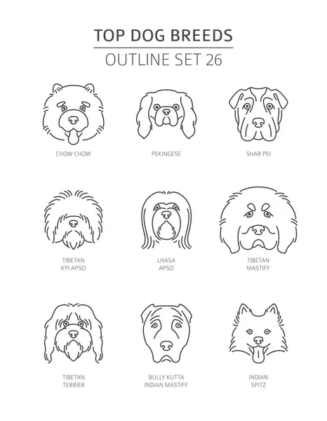 Mejores Razas Perros Colección Bosquejos Para Mascotas Ilustración Vectorial — Vector de stock