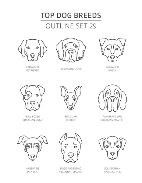 Top Dog Breeds Pet Outline Collection Vector Illustration — Stock Vector