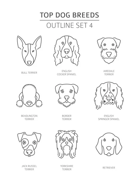 Mejores Razas Perros Colección Bosquejos Para Mascotas Ilustración Vectorial — Archivo Imágenes Vectoriales