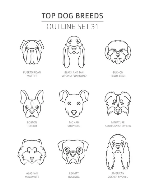 Лучшие Породы Собак Коллекция Контуров Домашних Животных Векторная Иллюстрация — стоковый вектор