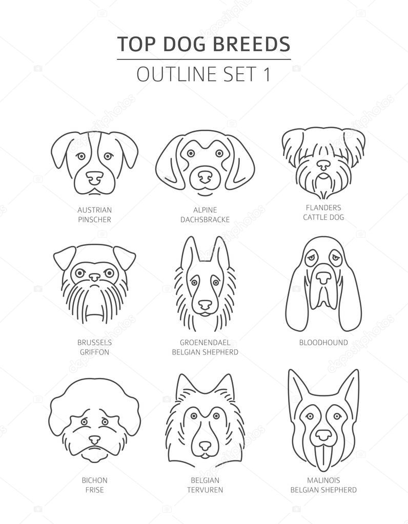 Top dog breeds. Pet outline collection. Vector illustration