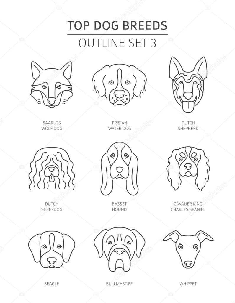 Top dog breeds. Pet outline collection. Vector illustration