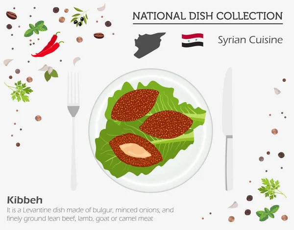 Cocina Siria Oriente Medio Colección Platos Nacionales Kibbeh Aislado Blanco — Vector de stock