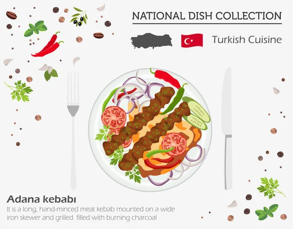 요리입니다 컬렉션입니다 아다나 Kebabi Infograpic 절연입니다 Illustratio — 스톡 벡터