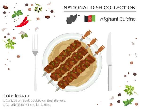 아프가니 요리입니다 컬렉션입니다 Infograpic 케밥입니다 Illustratio — 스톡 벡터