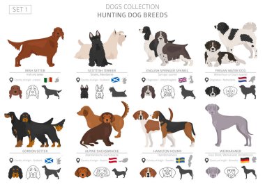 Av köpekleri koleksiyonu üzerinde beyaz izole. Düz stil. Farklı renk ve menşe ülke. Vektör çizim