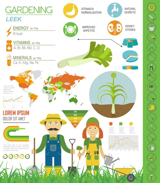 Leek Oignon Bénéfique Caractéristiques Modèle Graphique Jardinage Infographie Agricole Comment — Image vectorielle