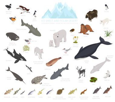 Ice sheet and polar desert biome. Isometric 3d style. Terrestrial ecosystem world map. Arctic animals, birds, fish and plants infographic design. Vector illustration clipart