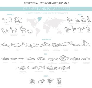 Buz levha ve kutup çöl biome. Basit çizgi stili. Karasal ekosistem dünya haritası. Arktik hayvan, kuş, balık ve bitki Infographic tasarım. Vektör çizim