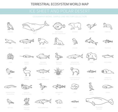 Buz levha ve kutup çöl biome. Basit çizgi stili. Karasal ekosistem dünya haritası. Arktik hayvan, kuş, balık ve bitki Infographic tasarım. Vektör çizim