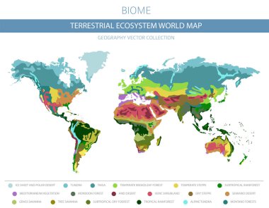 Karasal ekosistem dünya haritası. Biome. Dünya iklim bölgesi Infographic tasarım. Vektör çizim