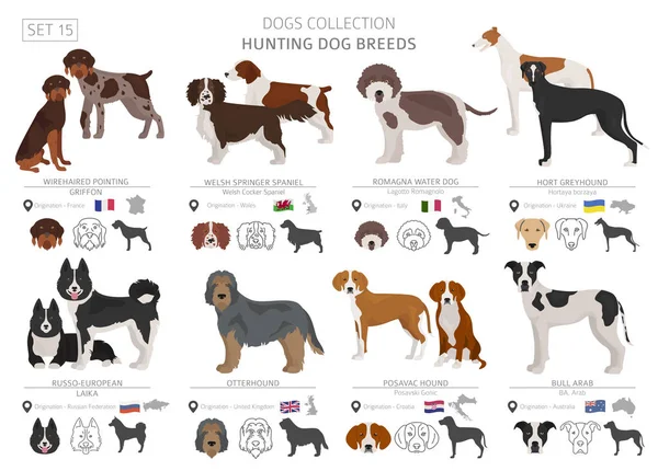 Κυνήγι Σκυλιά Συλλογή Απομονωμένα Λευκό Επίπεδη Στυλ Διαφορετικό Χρώμα Και — Διανυσματικό Αρχείο