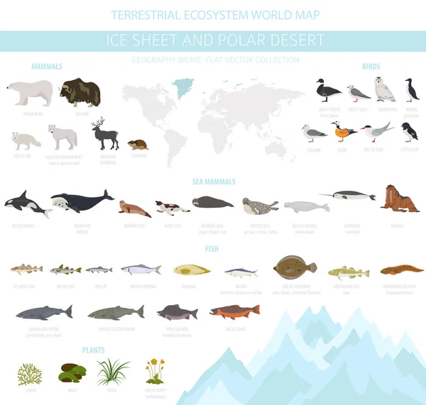 Ijs Blad Polar Woestijn Bioom Kaart Van Wereld Van Het — Stockvector