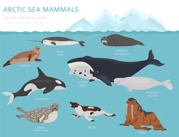 Biome 생태계 지도입니다 물고기 Infographic 디자인 일러스트 — 스톡 벡터