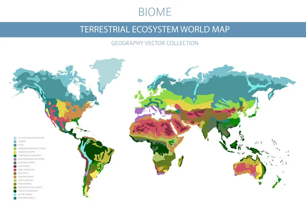 Mapa Mundo Ecossistema Terrestre Bioma Projeto Infográfico Zona Climática Mundial — Vetor de Stock