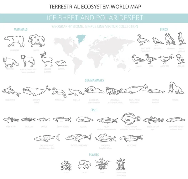 Ice List Polární Poušti Jednoduché Čáry Mapa Světa Suchozemských Ekosystémů — Stockový vektor