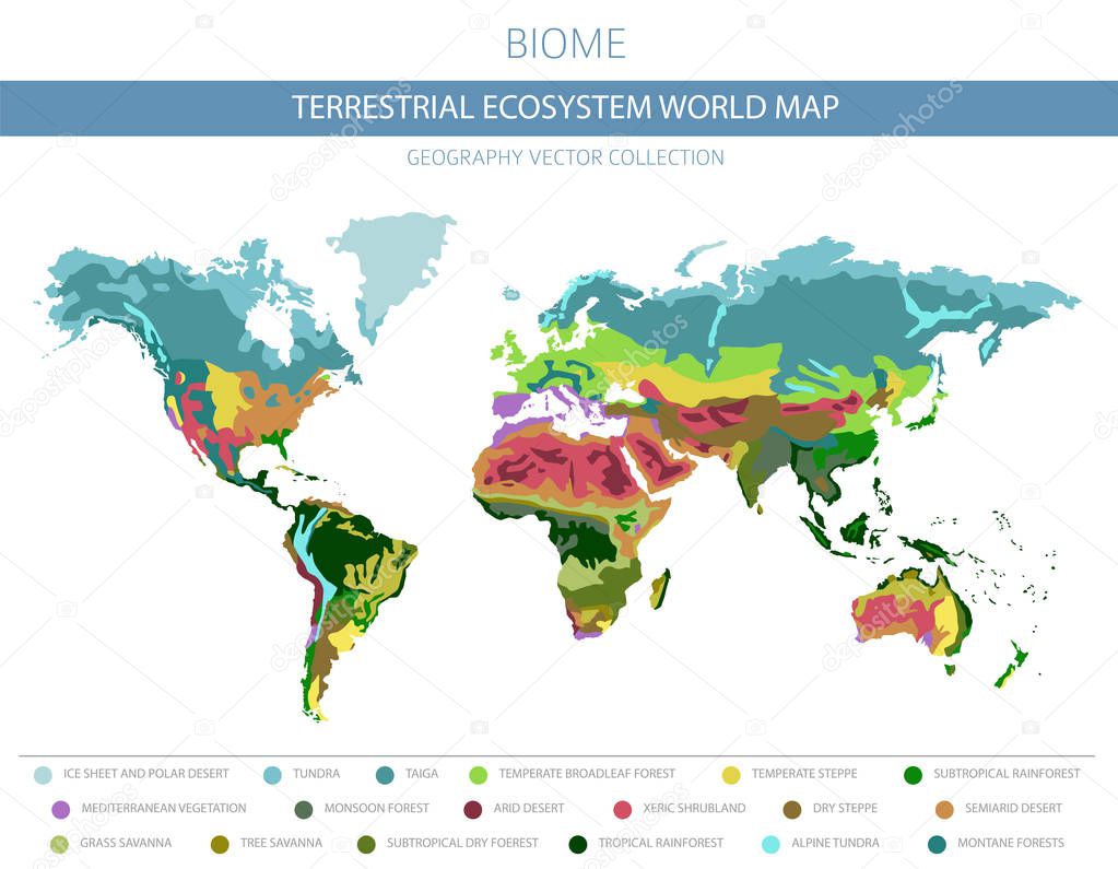 Terrestrial ecosystem world map. Biome. World climatic zone infographic design. Vector illustration