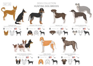 Av köpekleri koleksiyonu üzerinde beyaz izole. Düz stil. Farklı renk ve menşe ülke. Vektör çizim